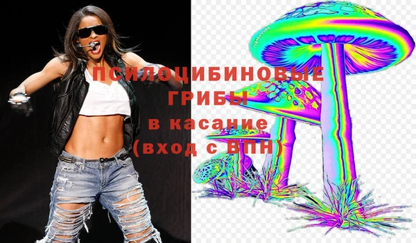 кокс Козельск