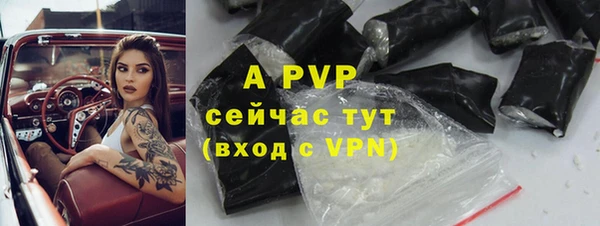 ECSTASY Кодинск