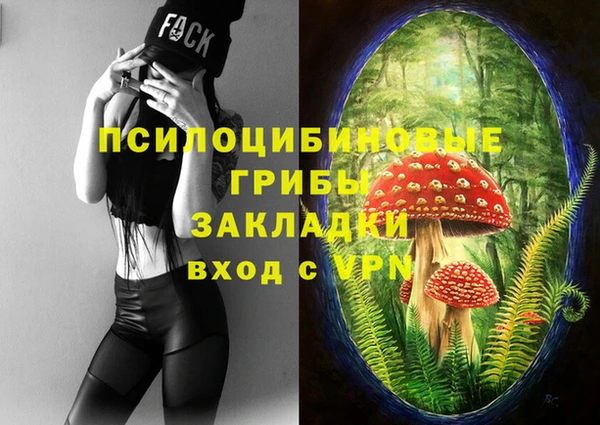 ALPHA PVP Козловка