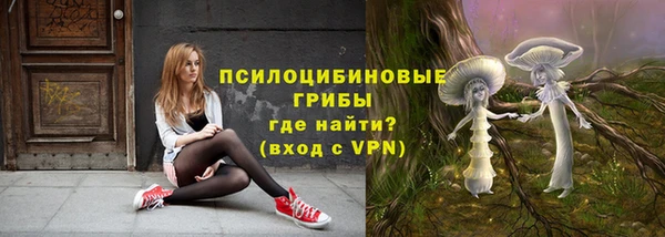 кокс Козельск