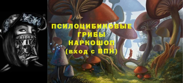 ECSTASY Кодинск
