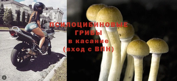 ECSTASY Кодинск